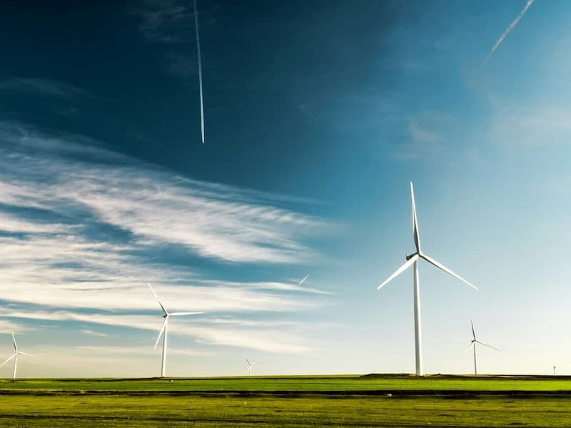 Carbon Management & Net Zero Strategy
