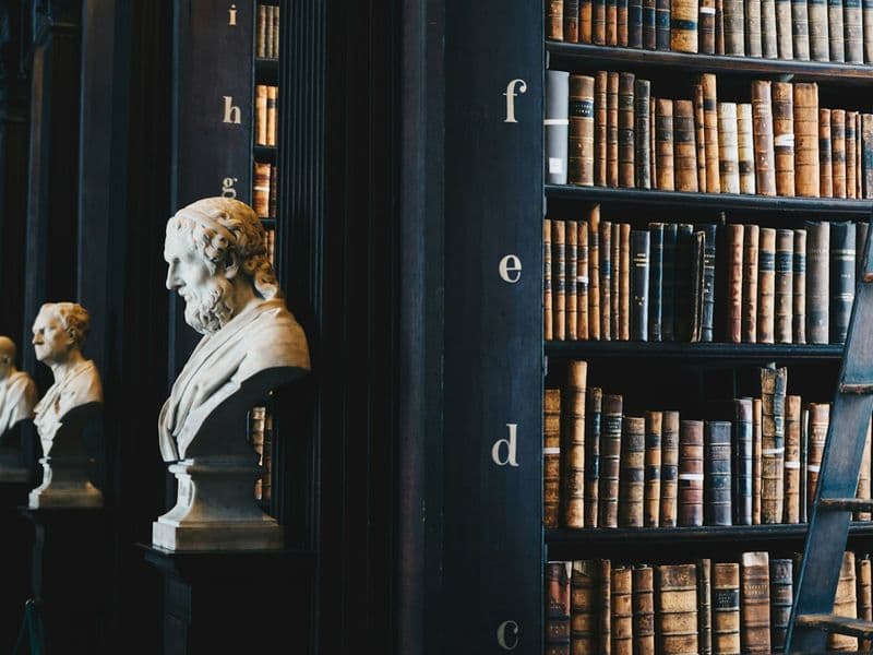 Labour Law Fundamentals