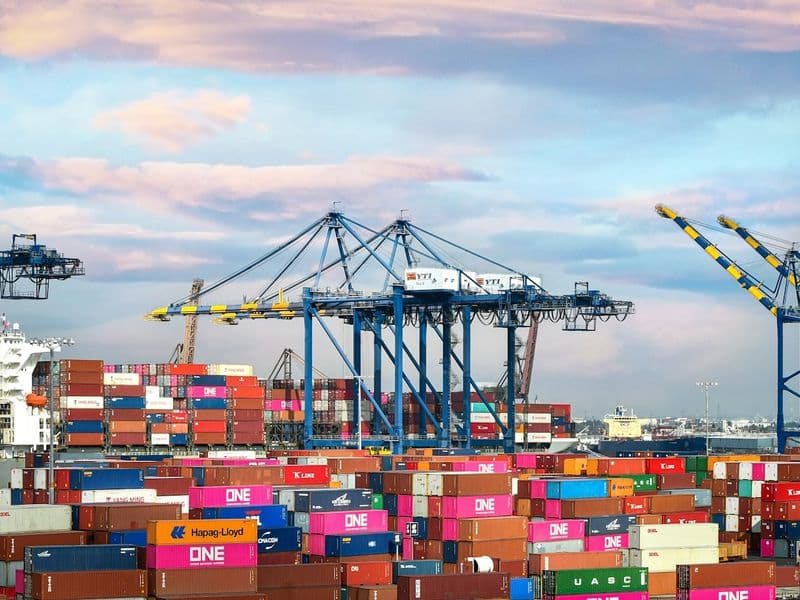 Supply Chain Resilience & Digital Procurement