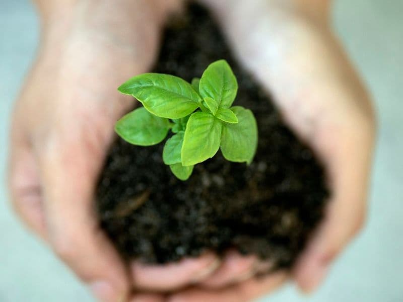 Sustainable Procurement